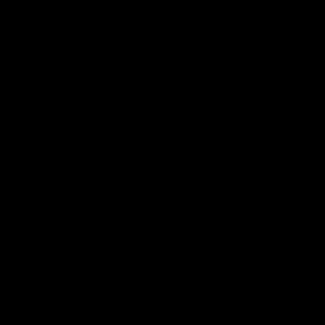 Meet your Posher, Delilah